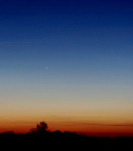 15 mars 2013, Matthieu BACHSCHMIDT. je n'ai pas vu la comète à l'oeil nu et aux jumelles, je pensais qu'elle était trop basse et cachée derrière l'horizon (je n'ai pas eut le temps de préparer sérieusement l'observation), j'ai quand même décidé de faire des photos "à l'aveugle", on ne sais jamais, j'aurais au moins de belles photos crépusculaires...., j'ai quitté mon champ déçu et les chaussures pleines de boue... Que ne fût pas ma surprise en rentrant de voir que la comète est bien là sur les photos... il faut toujours garder espoir !  Pentax K5II 55mm, pose de 3s.